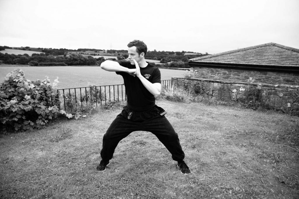 Southern Shaolin Kung Fu